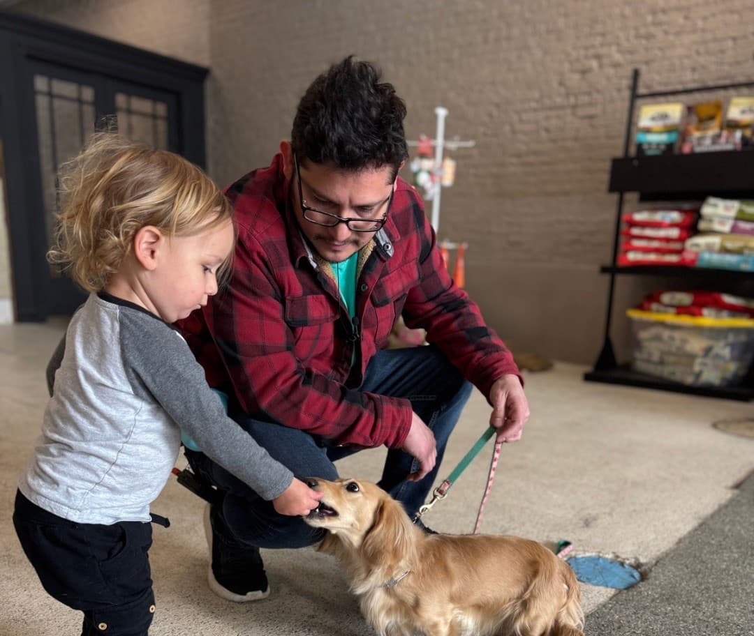 Inside the family-run Canine Perspective facility on West Lake Street. A trainer and child greeting a dog