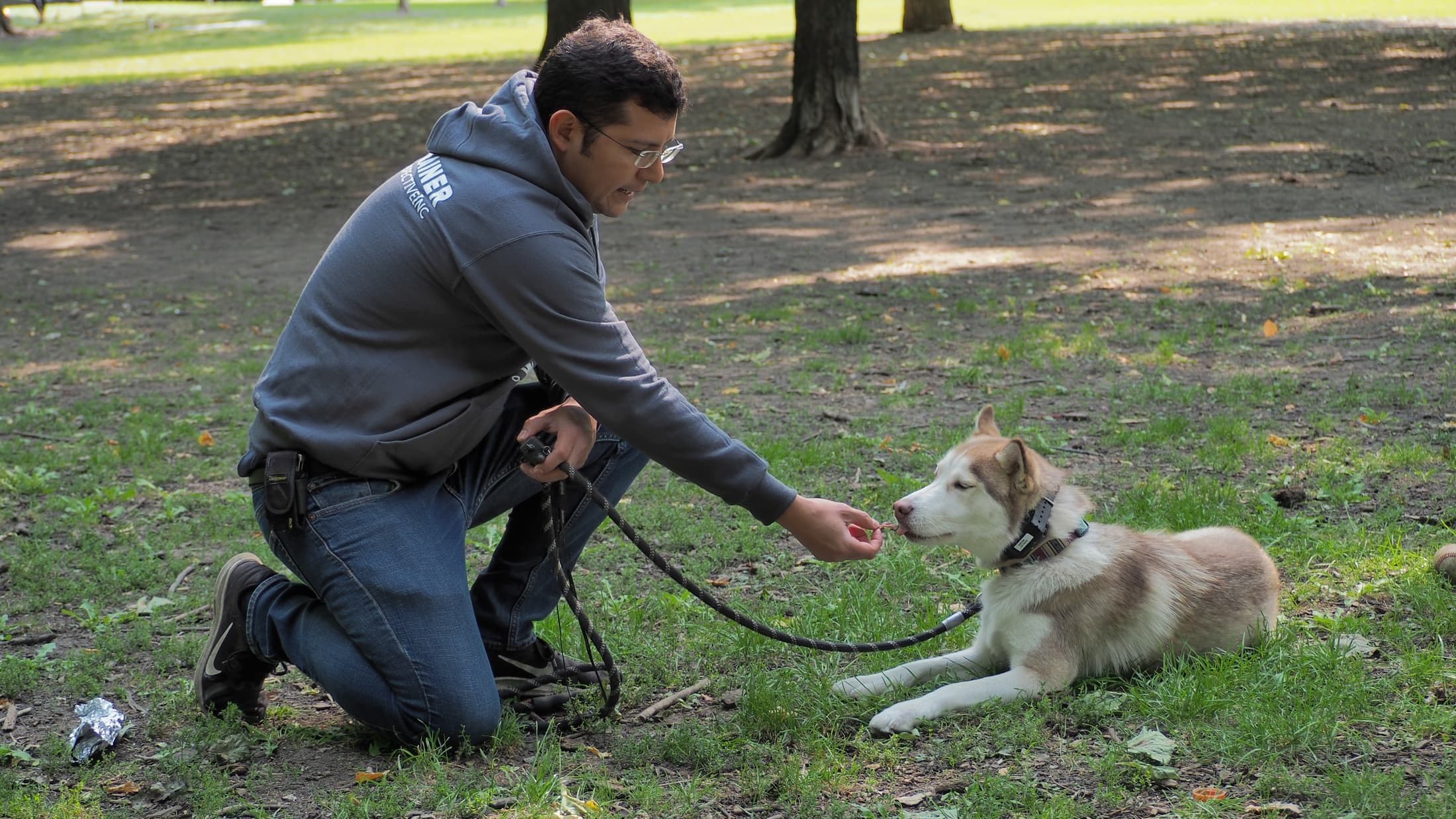 Dog Training in Chicago at Canine Perspective. Facility photograph